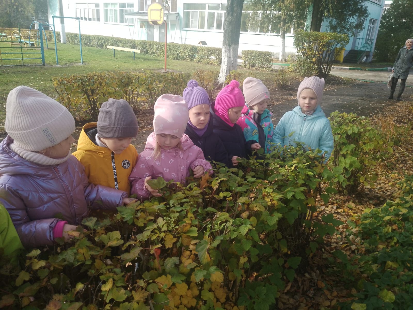 Целевая прогулка.