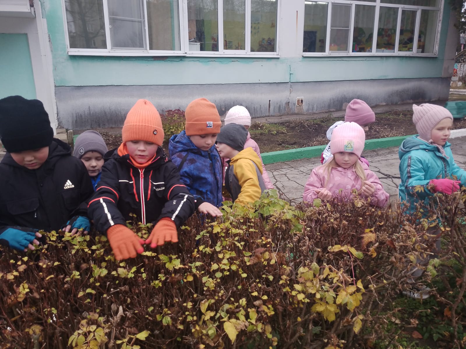 Сезонные изменения.