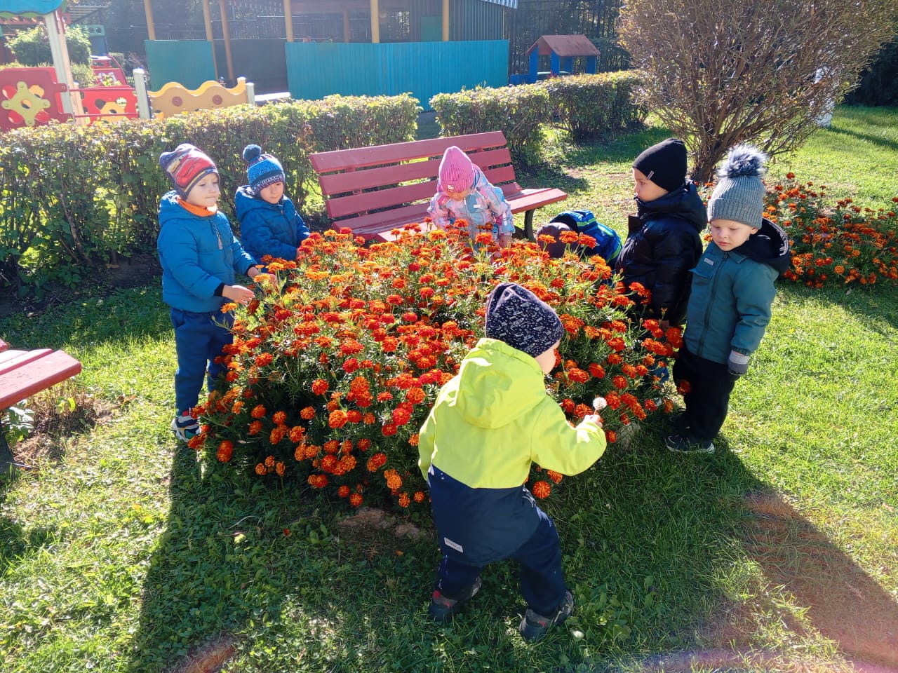 Краски осени.