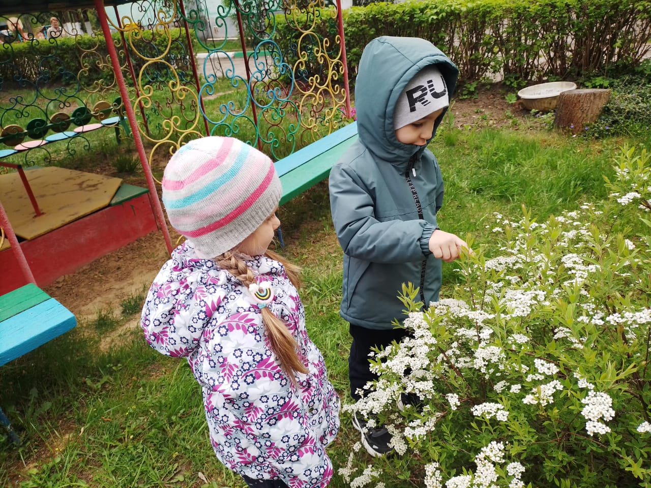 Сезонные изменения в природе.