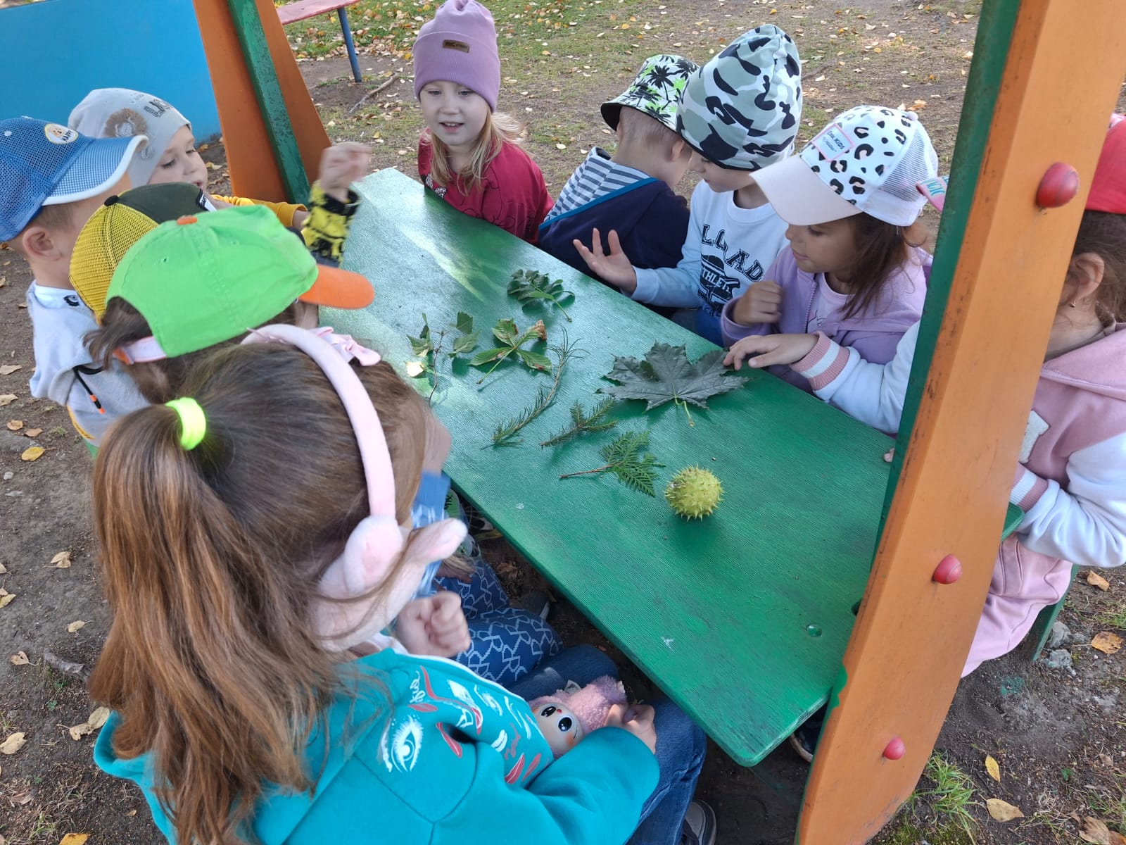 С какого дерева листочки?.