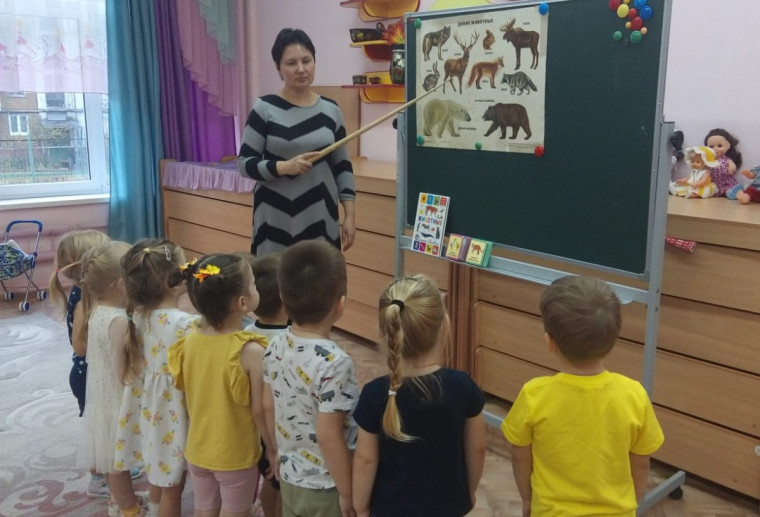 Дикие животные.