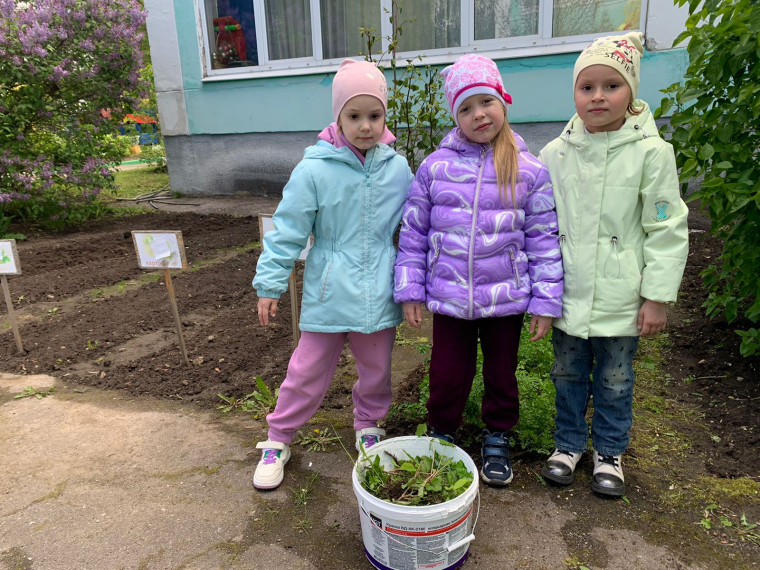 Огород.